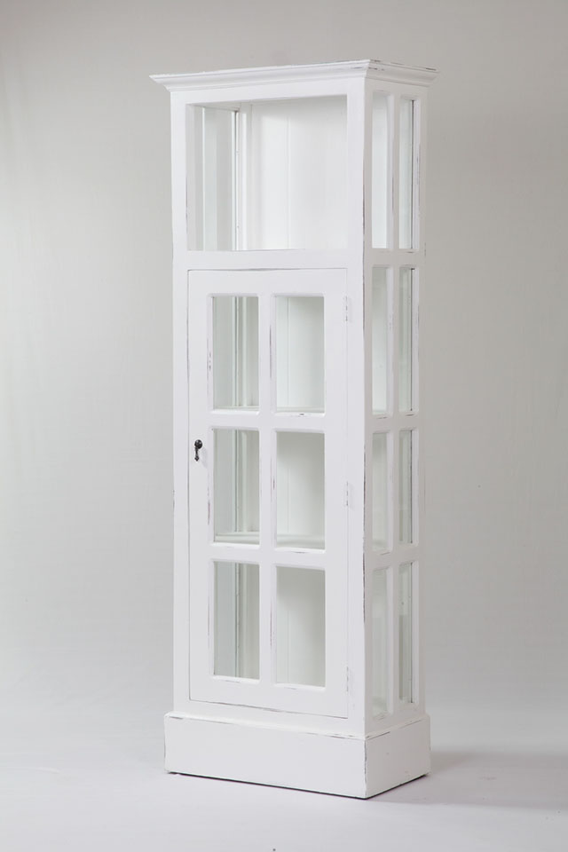 Narrow Cabinet With Glass Door Nadeau, Slim Bookcase With Glass Doors